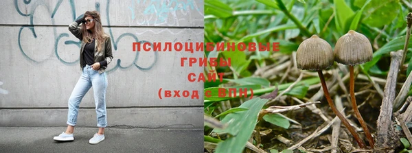 трава Богородицк