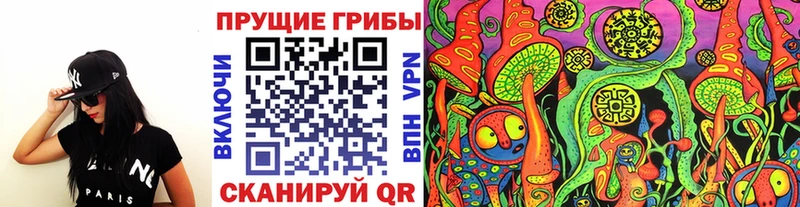 гидра tor Кирсанов Галлюциногенные грибы Cubensis